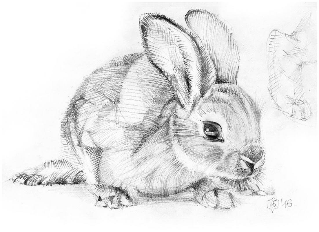 Рисунки кроликов для начинающих фото