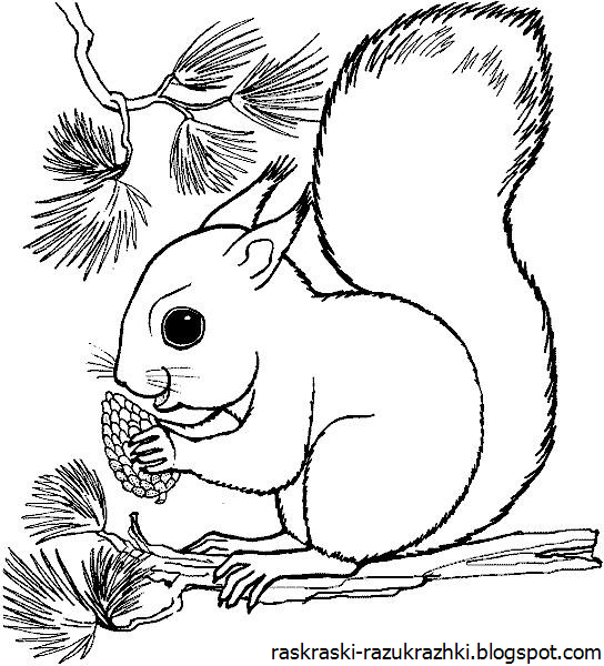 Рисунки лесных животных для детей фото