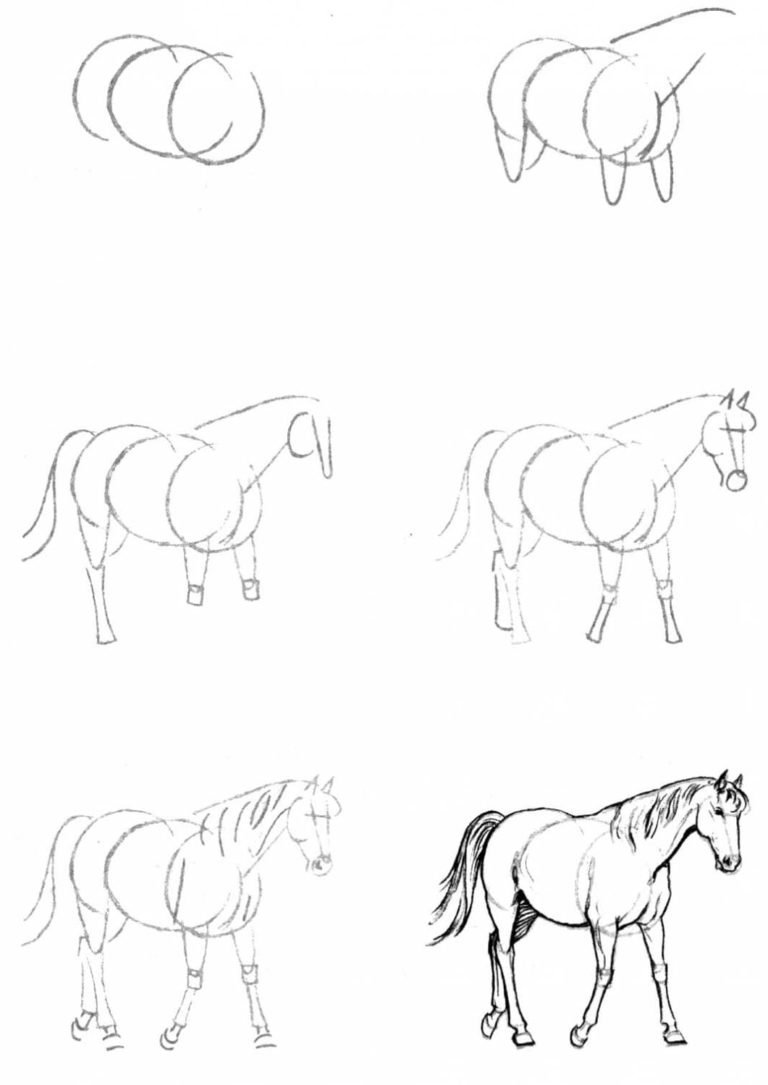 Рисунки лошадей простым карандашом для начинающих фото