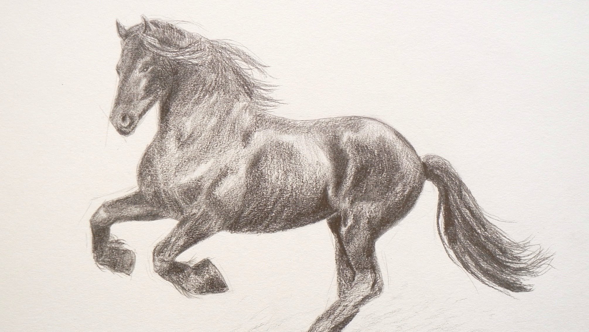 Рисунки лошадей простым карандашом трудные для начинающих фото