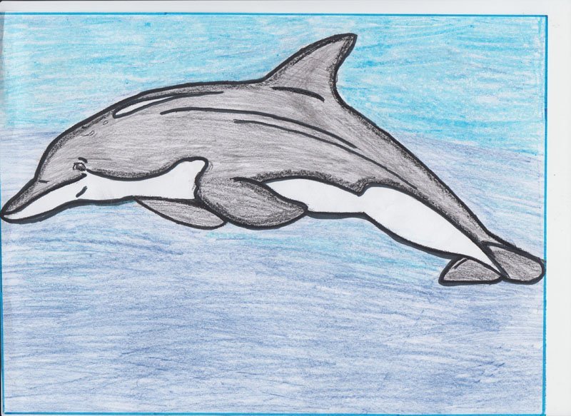 Рисунки на свободную тему легкие дельфин фото