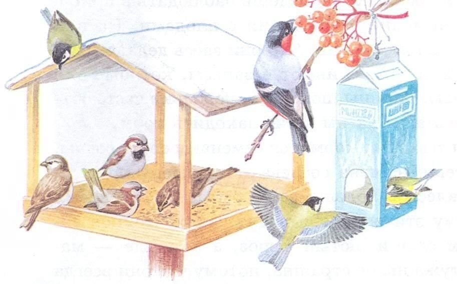 Рисунки на тему забота о птицах зимой фото