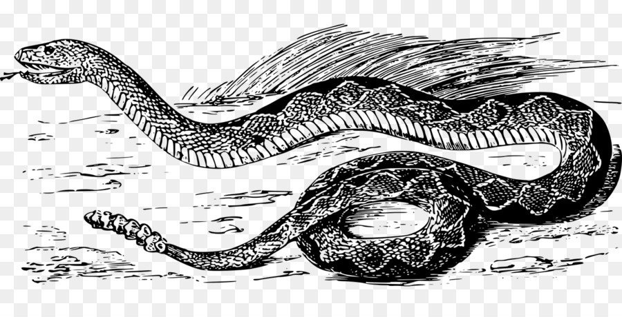 Рисунки на тему змеи фото