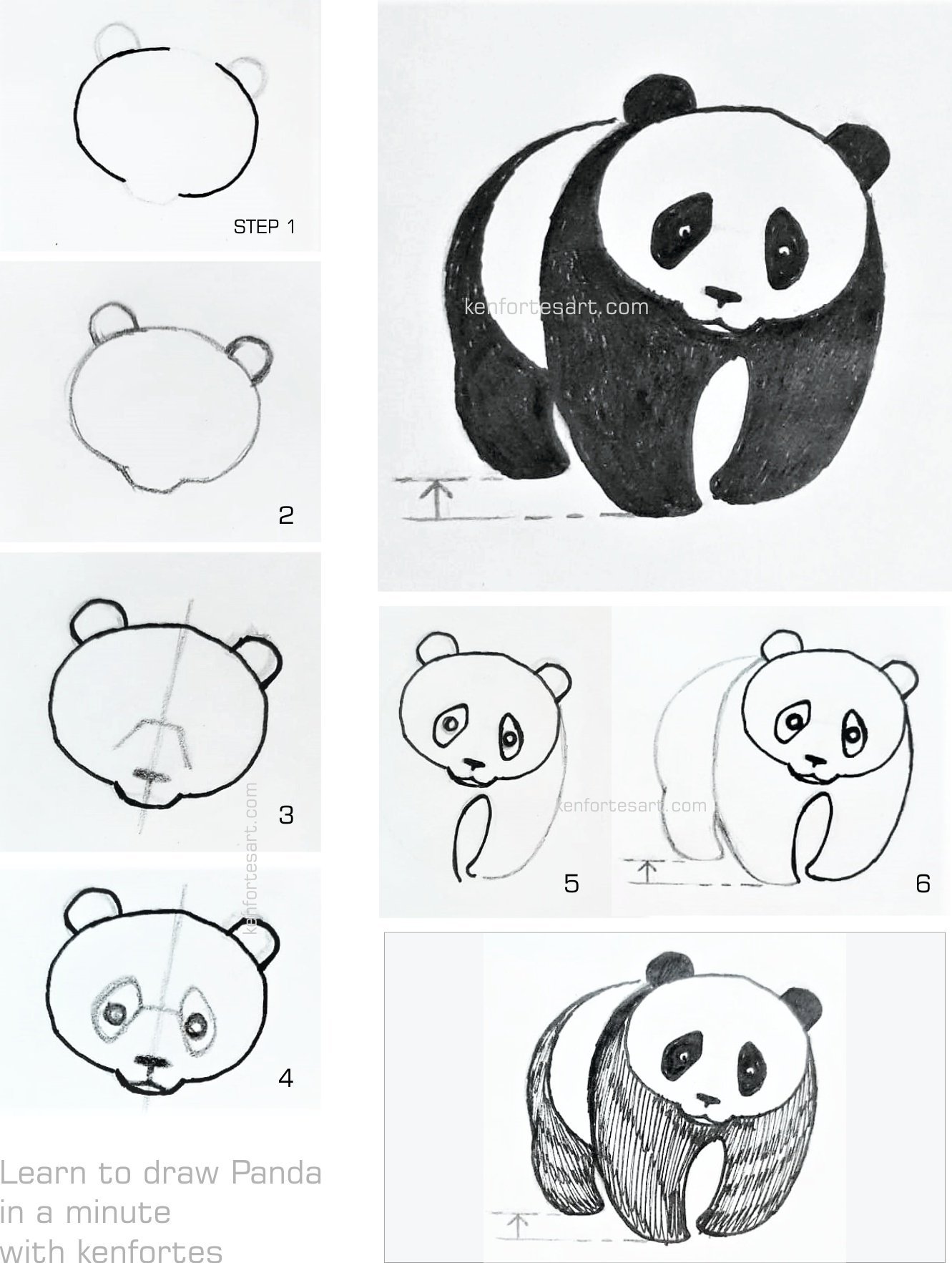Рисунки панды поэтапно легко фото