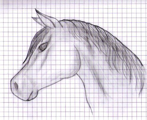 Рисунки по клеточкам лошади легкие фото