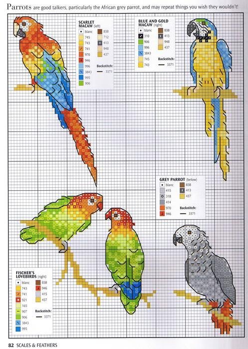 Рисунки по клеточкам попугайчик фото