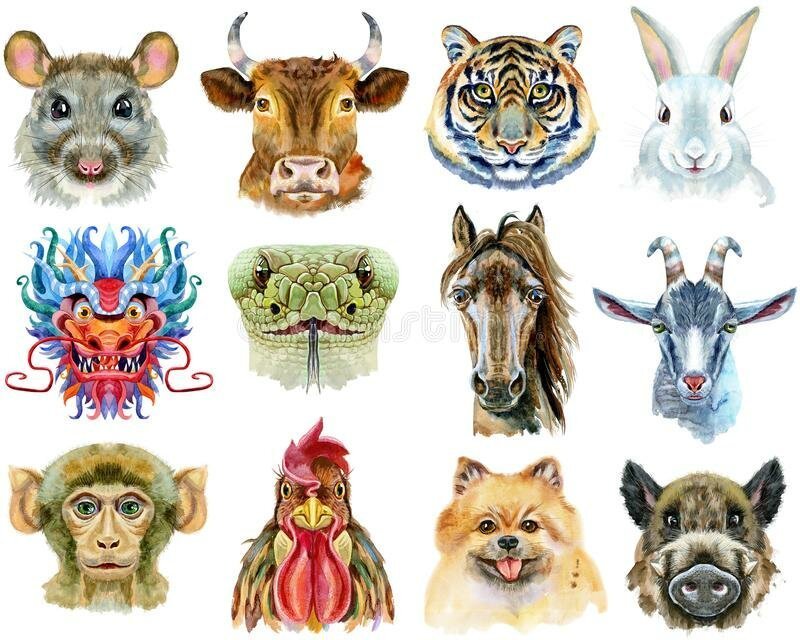 Рисунки по знакам зодиака животные фото