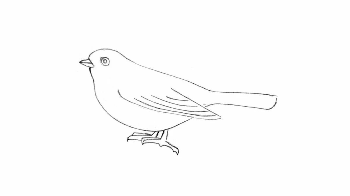 Рисунки птиц легкие детские фото