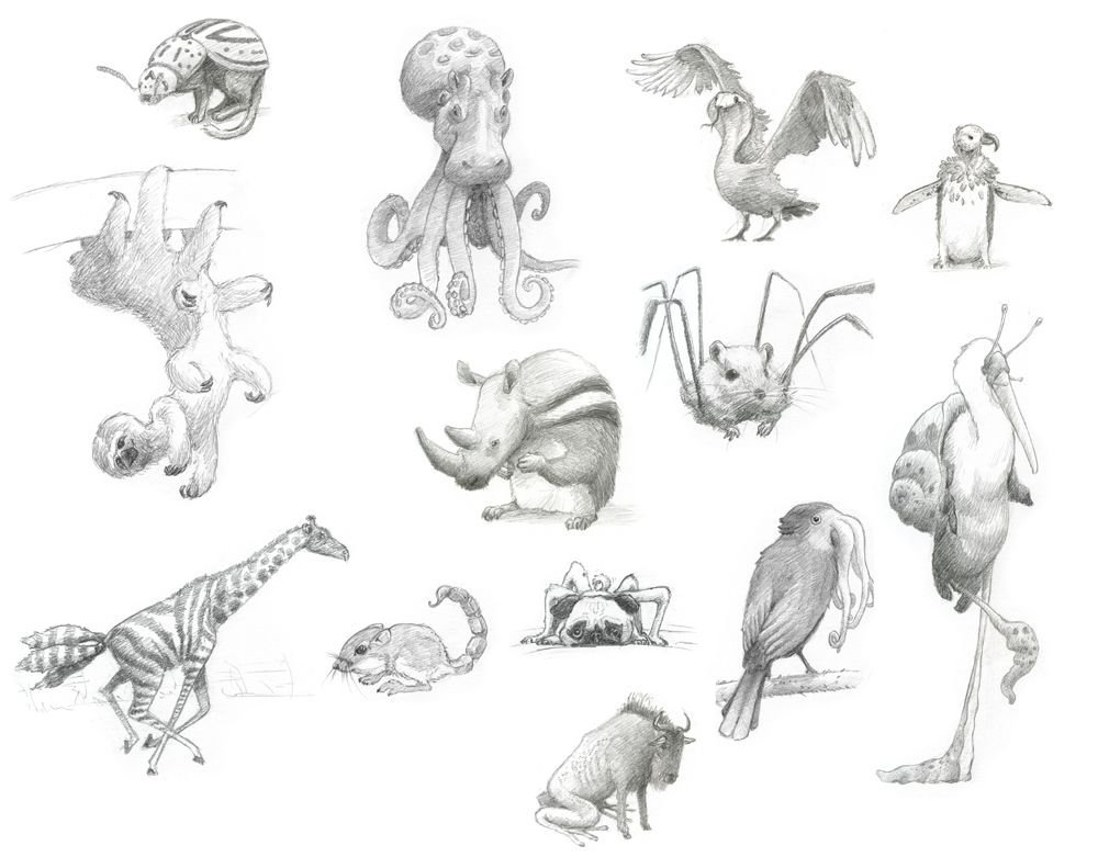 Рисунки разные рисунки животных фото