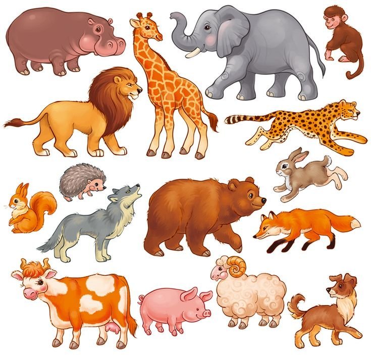 Рисунки разных животных фото