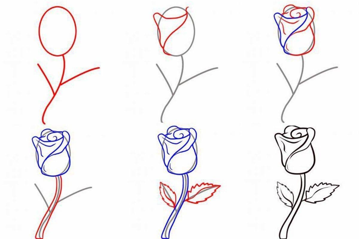 Рисунки розы карандашом для начинающих легкие и красивые фото