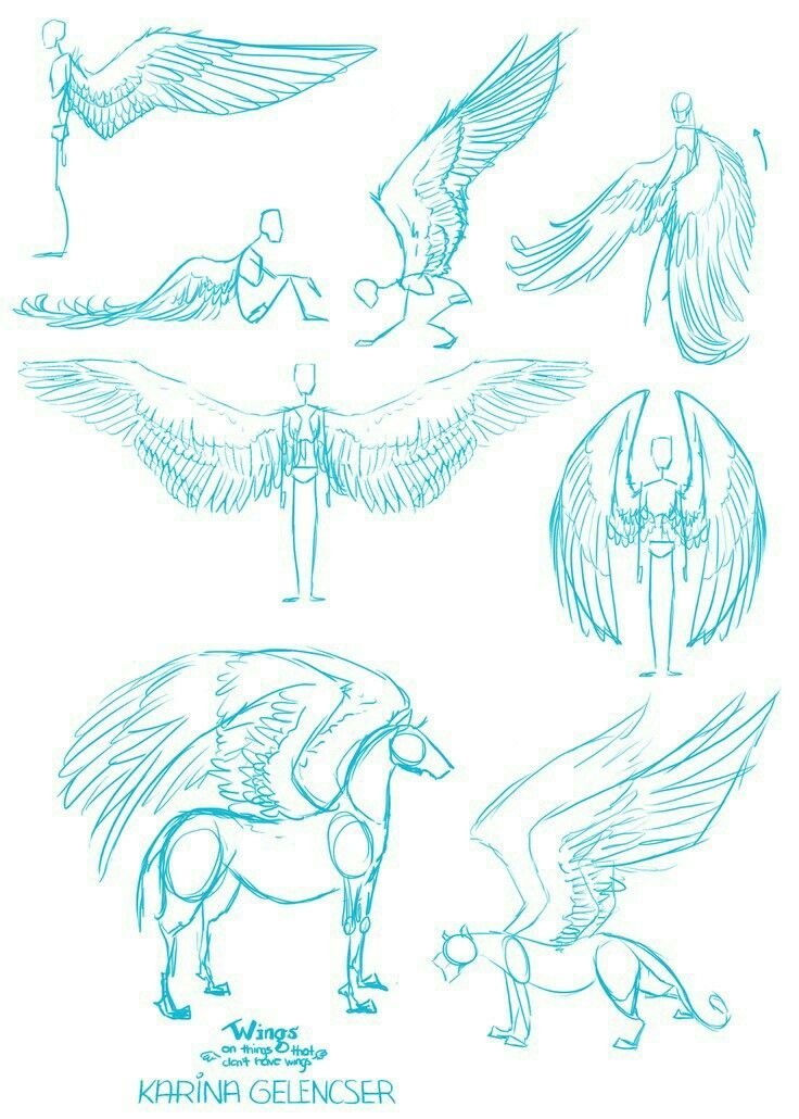 Рисунки с крыльями аниме фото