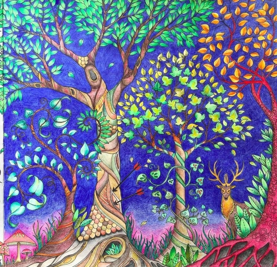 Рисунки сказочный лес детские рисунки фото