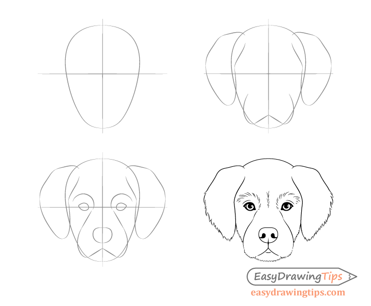 Рисунки собак простым карандашом для начинающих поэтапно фото