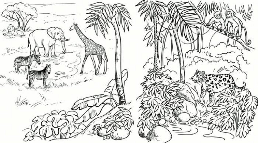 Рисунки тропических животных фото