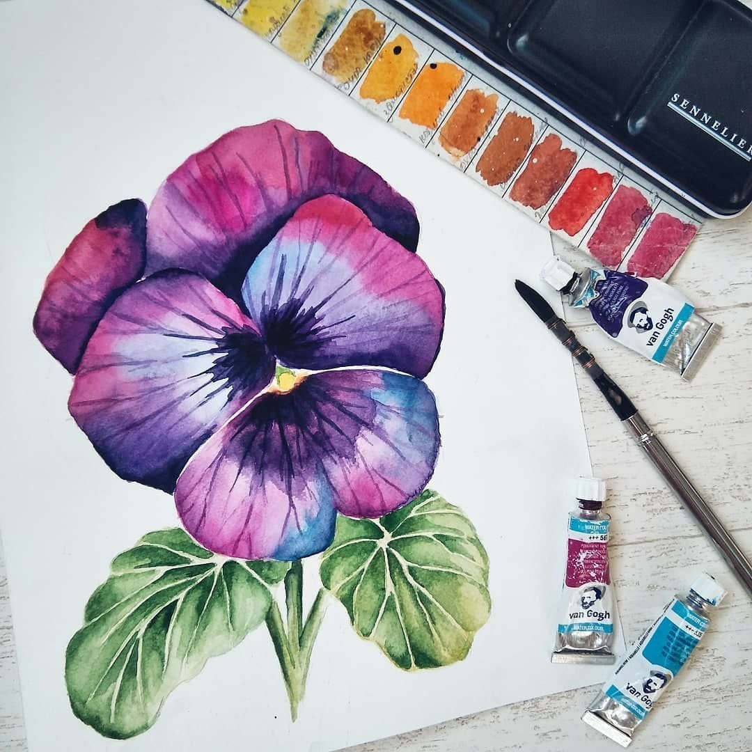 Рисунки цветов акварелью легкие для начинающих фото