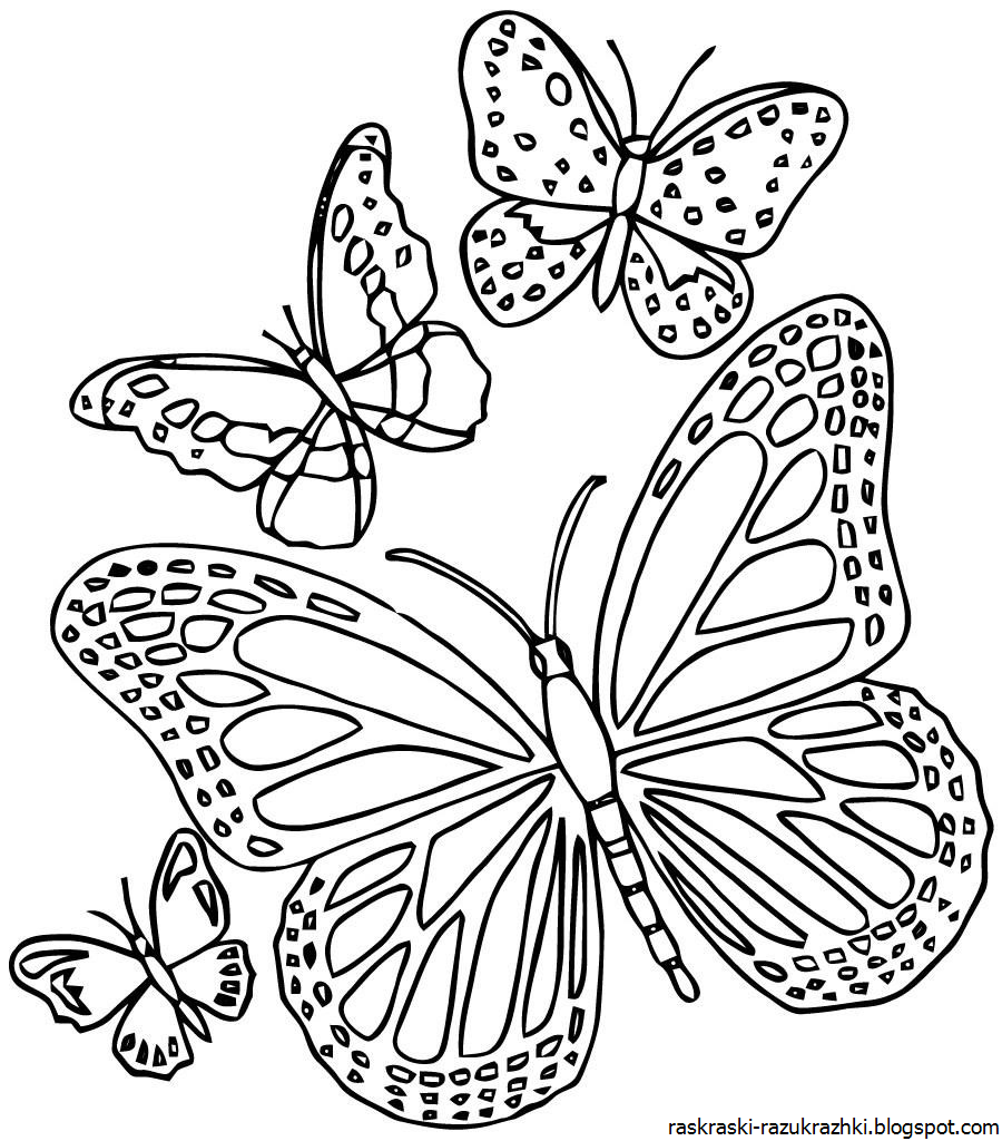 Рисунки цветов и бабочек трафарет фото