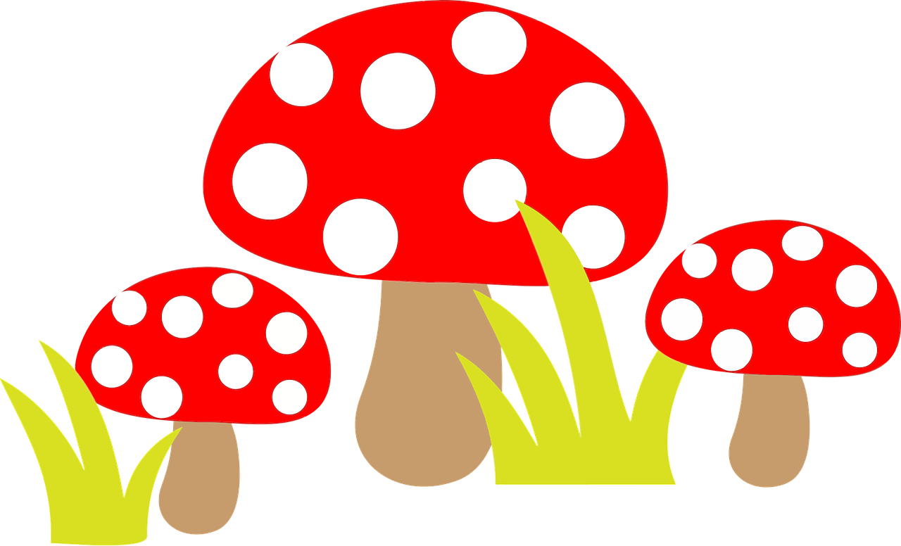 Рисунки в детском саду грибы фото