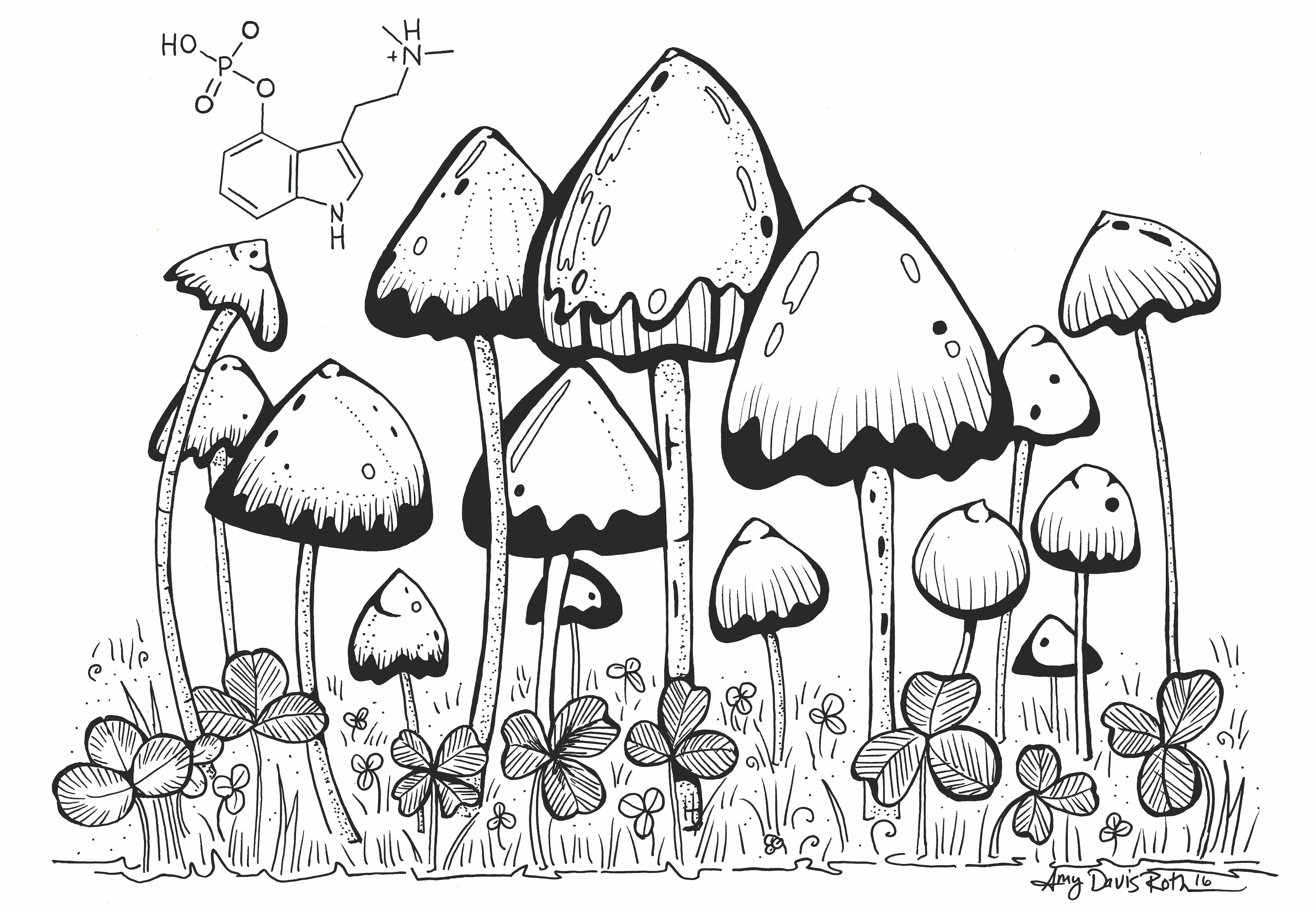 Рисунки в эскизах грибы фото