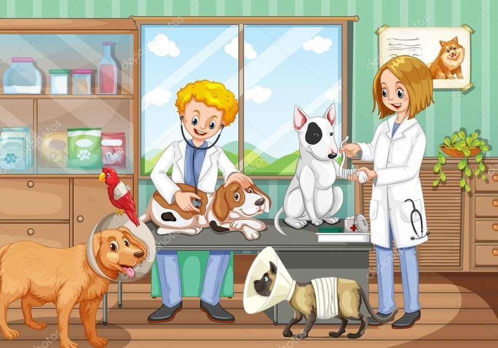 Рисунки ветеринара для детей с животными фото