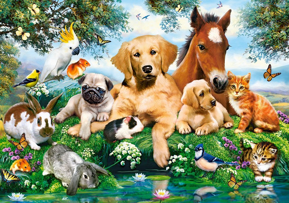 Рисунки всех домашних животных фото