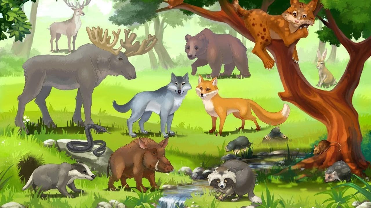 Рисунки всех животных для детей фото
