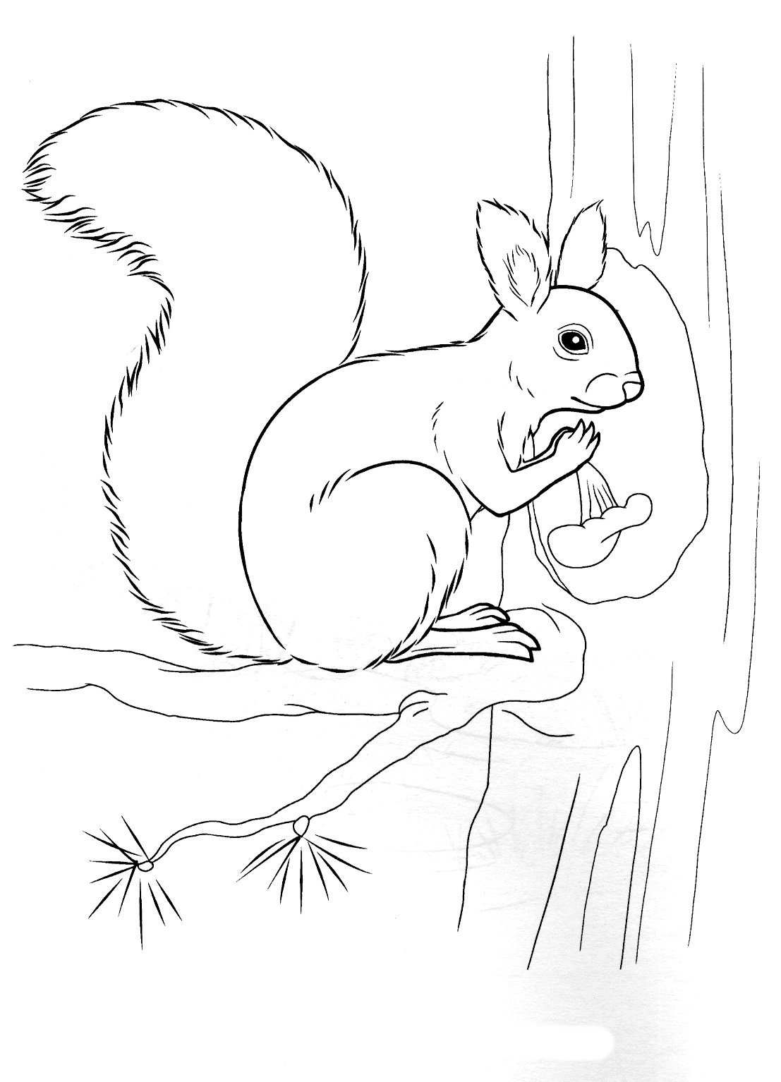 Рисунки животных для детей легкие которые живут в лесу фото