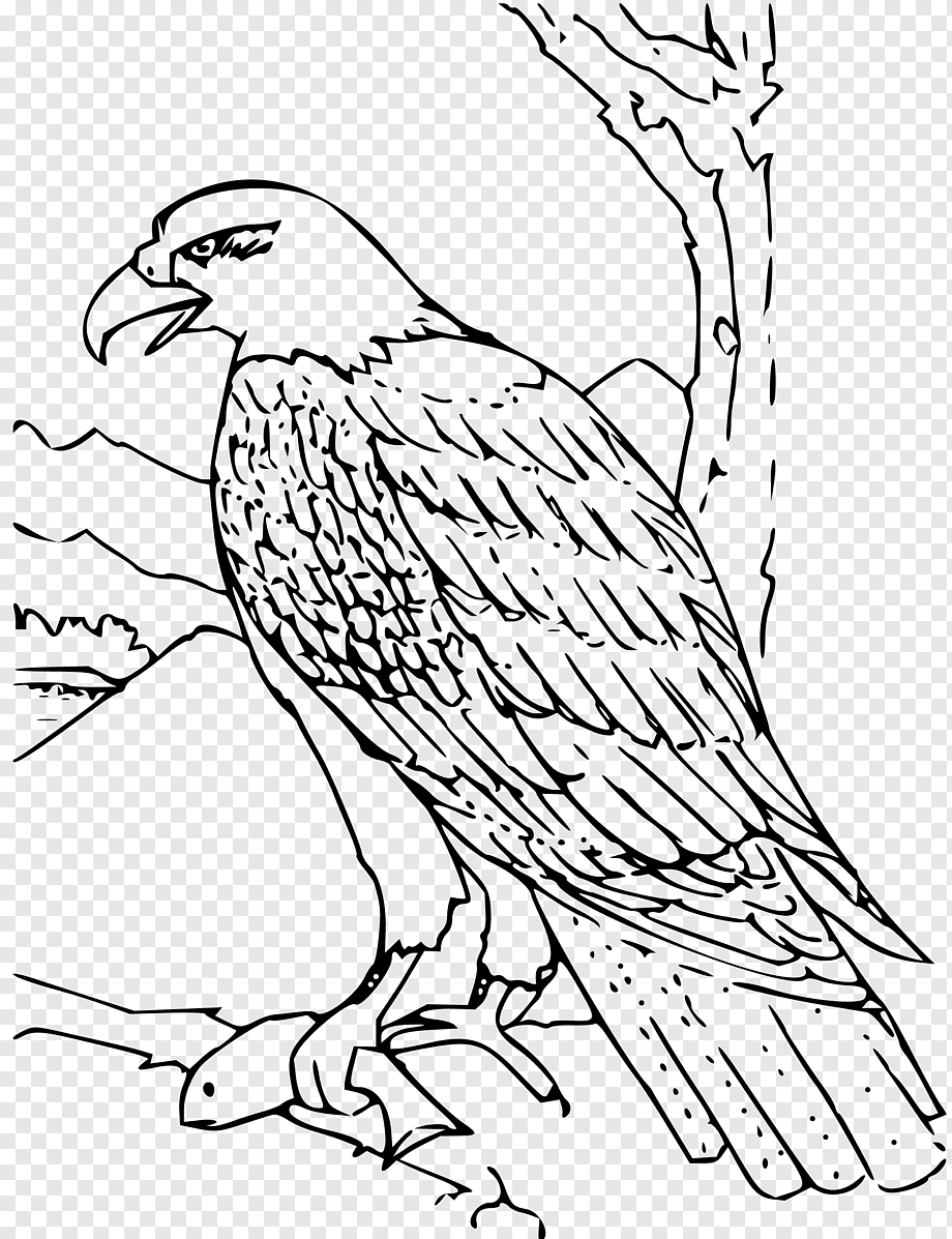 Рисунки животных и птиц из красной книги фото