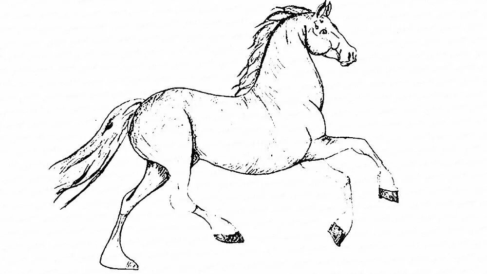 Рисунки животных легкие лошади фото