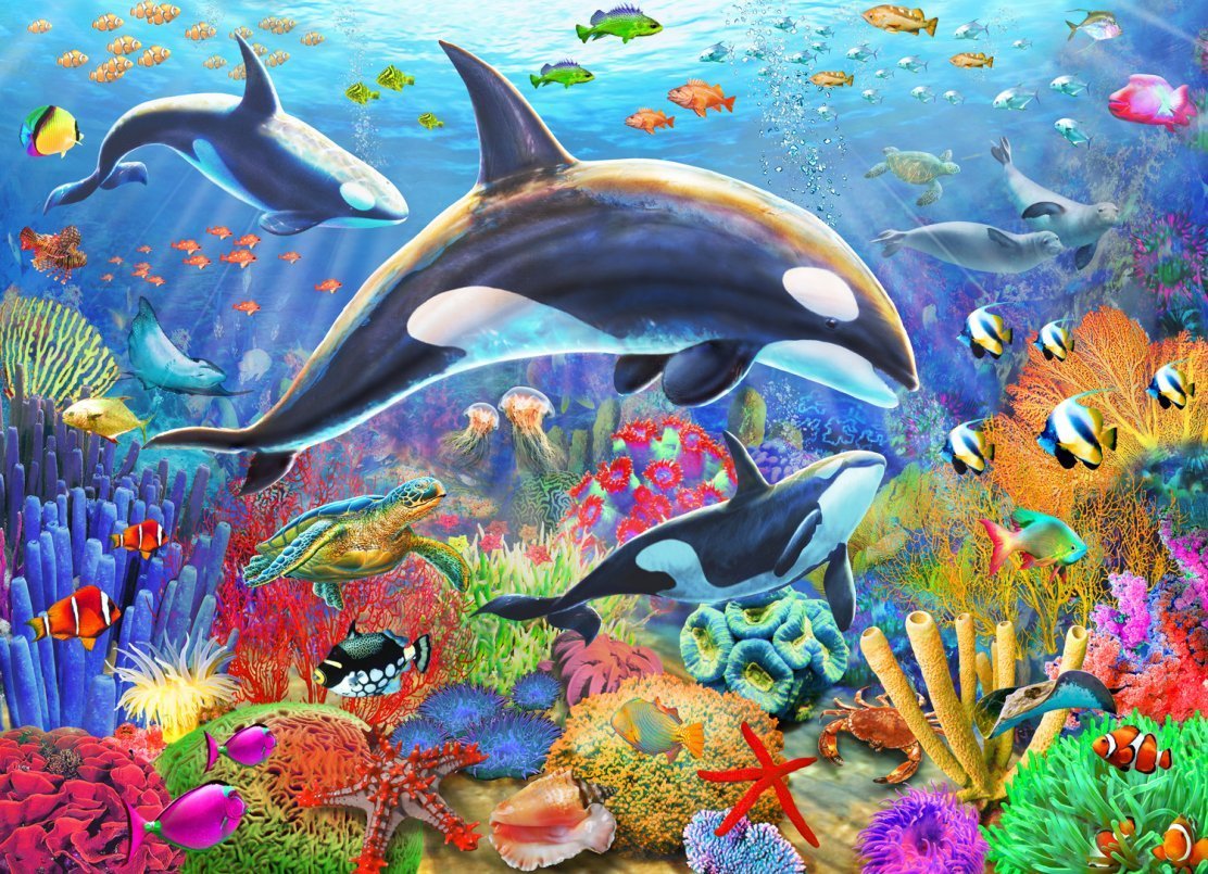 Рисунки животных тихого океана фото