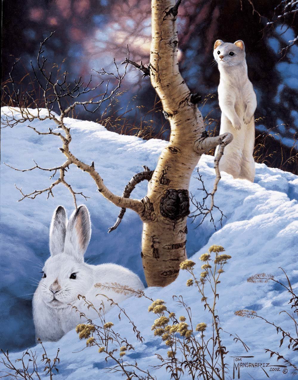 Рисунки зимние животные фото