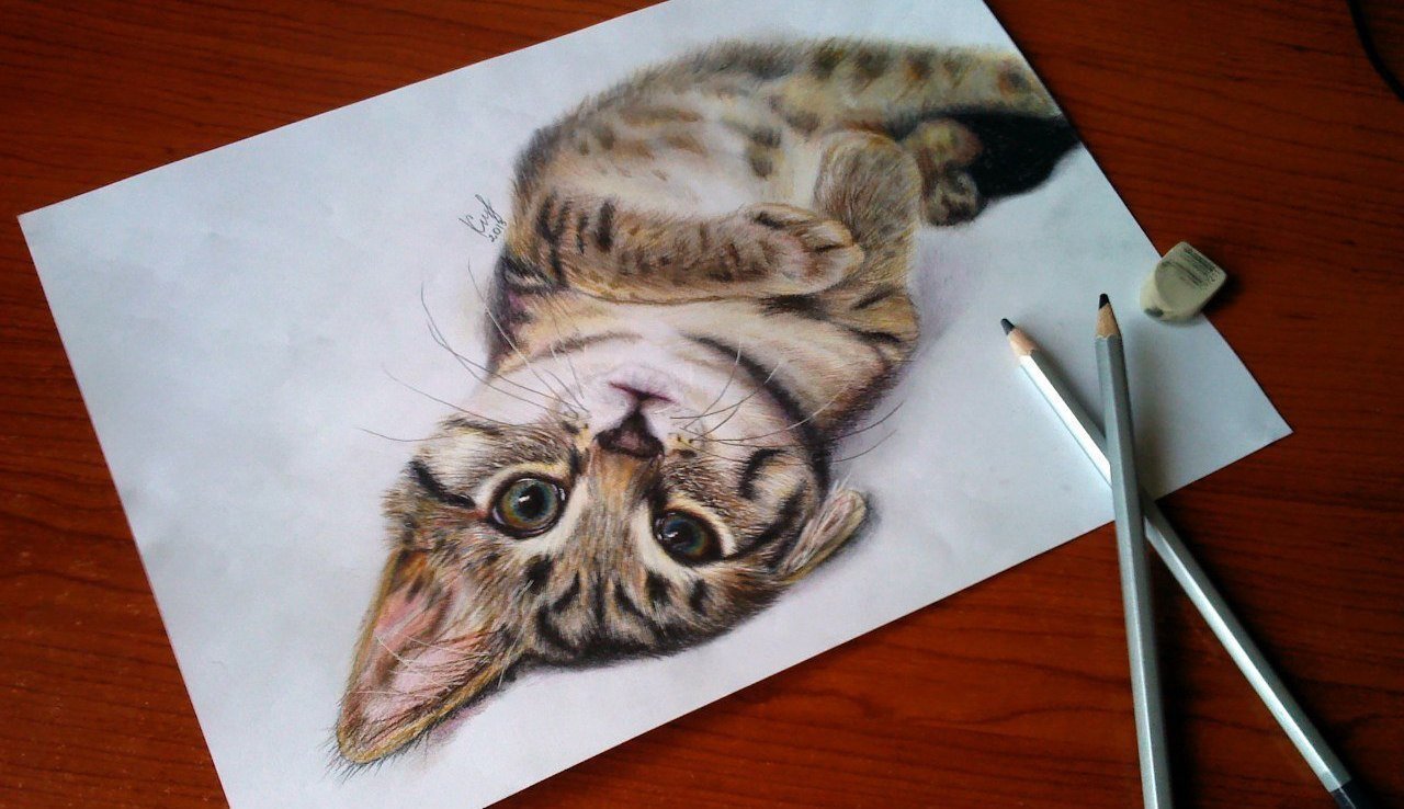 Рисунок 3d кот том фото
