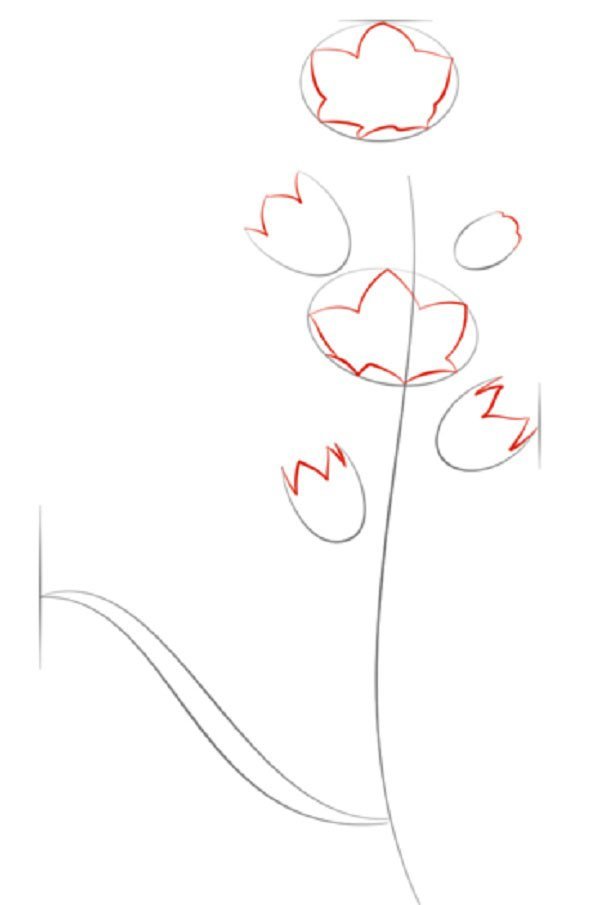 Рисунок аленький цветочек карандашом легко и красиво поэтапно фото