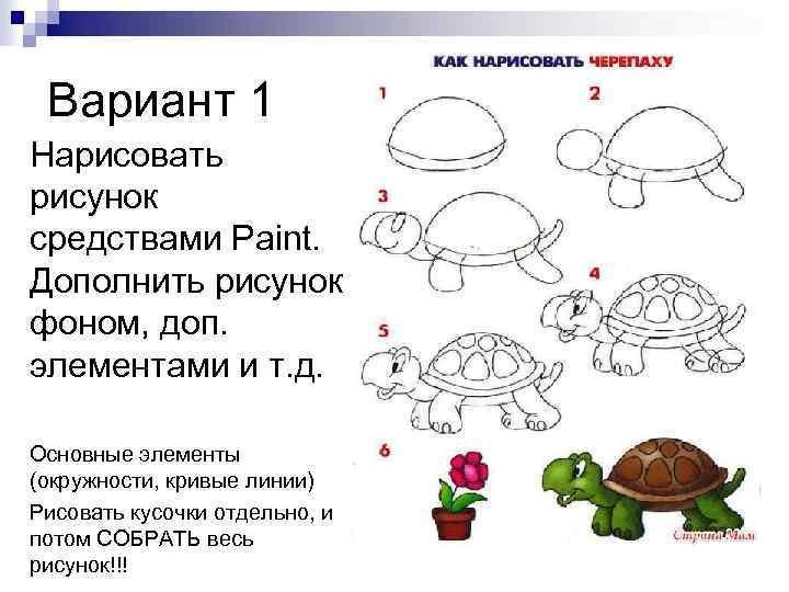 Рисунок черепахи для детей карандашом поэтапно легко фото