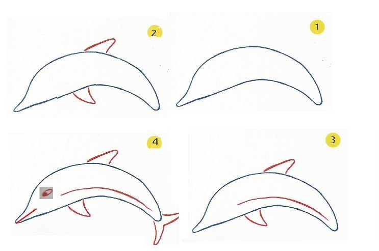 Рисунок дельфина поэтапно карандашом для начинающих легко фото