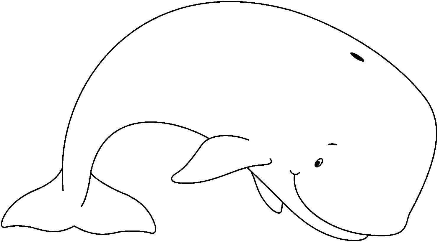 Рисунок дельфина трафарет фото