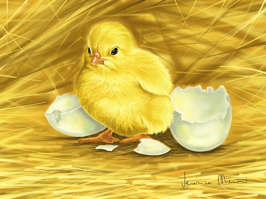 Рисунок детский цыпленок фото