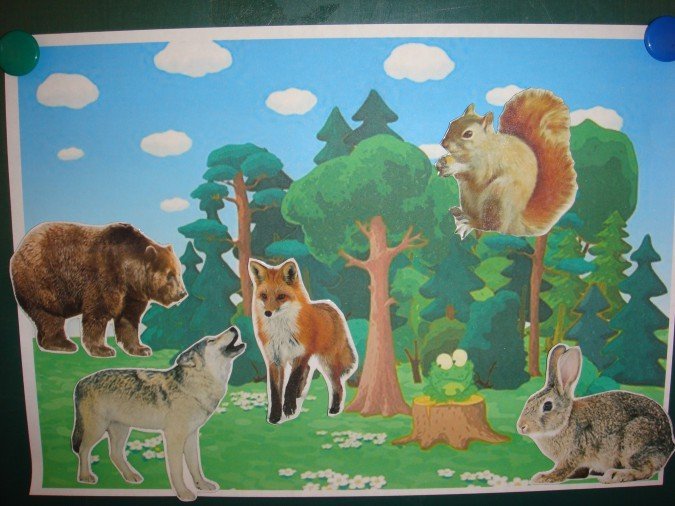 Рисунок дикие животные в лесу рисунок фото