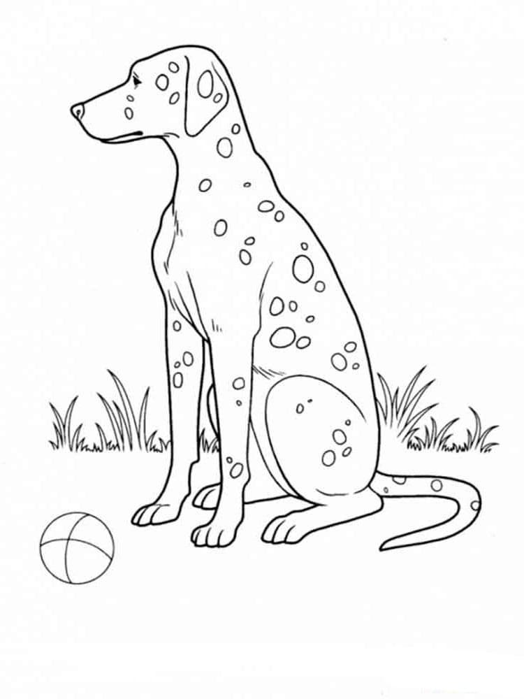 Рисунок домашнее животное собака фото