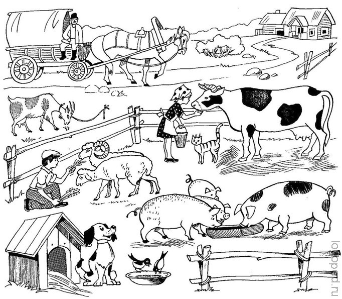 Рисунок фермы поэтапно фото
