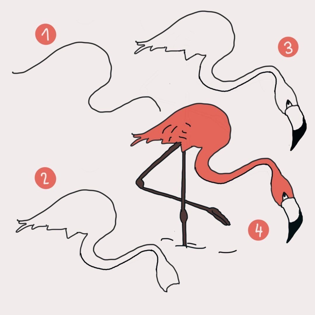Рисунок фламинго для детей поэтапно фото
