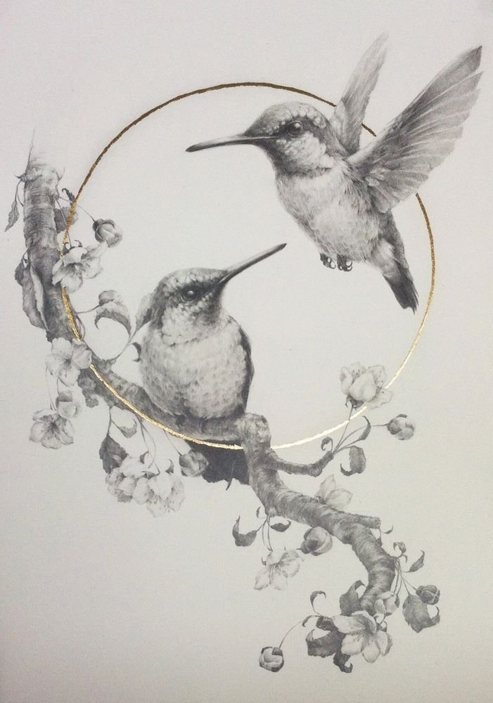 Рисунок колибри эскиз фото