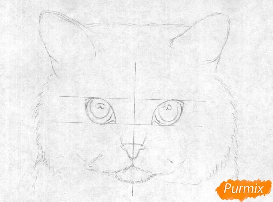 Рисунок кошка легко карандашом начинающих фото
