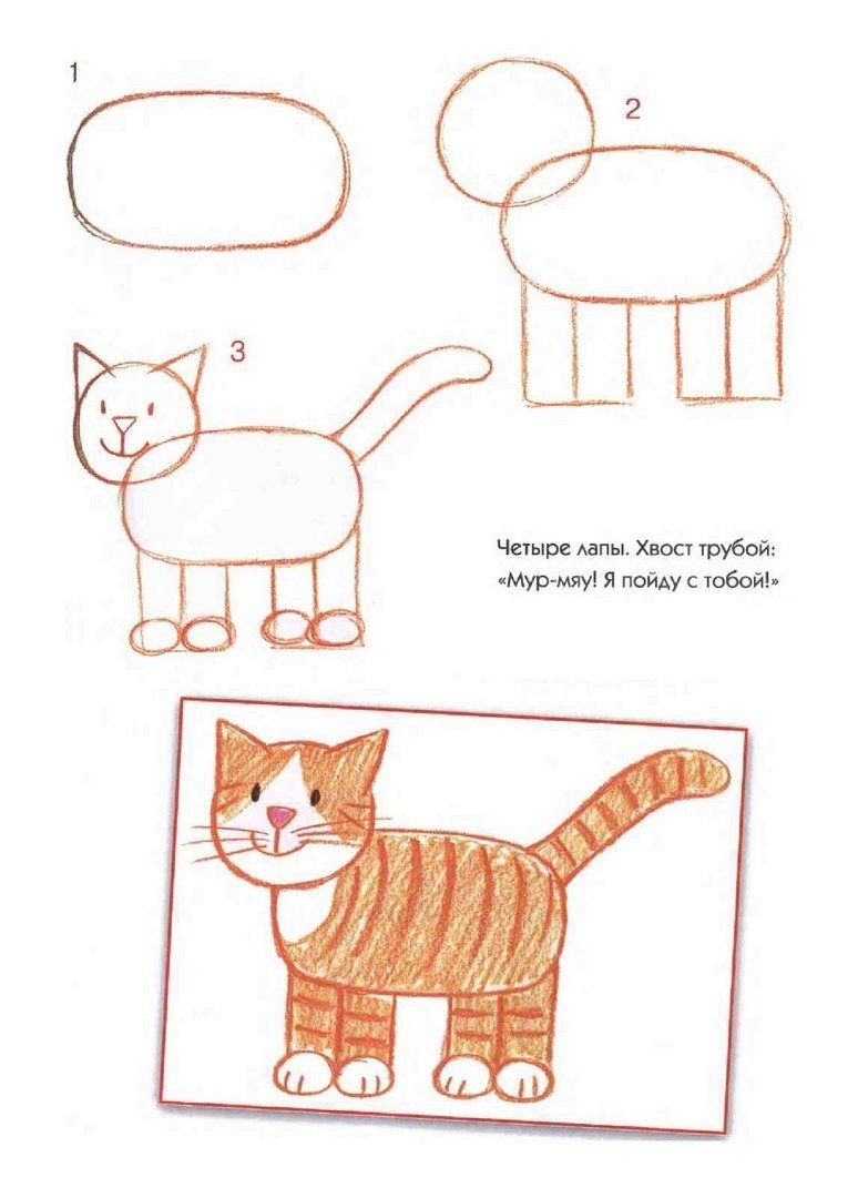 Рисунок кота простым карандашом поэтапно для начинающих фото