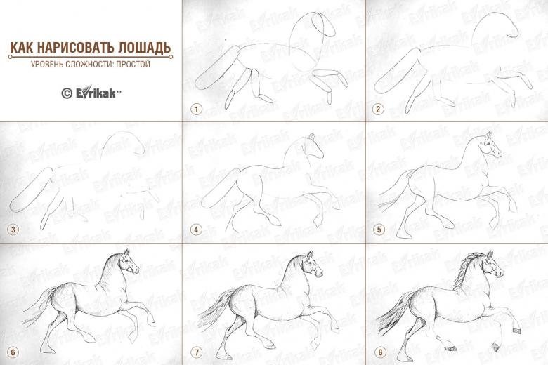 Рисунок легкий поэтапно лошадь фото