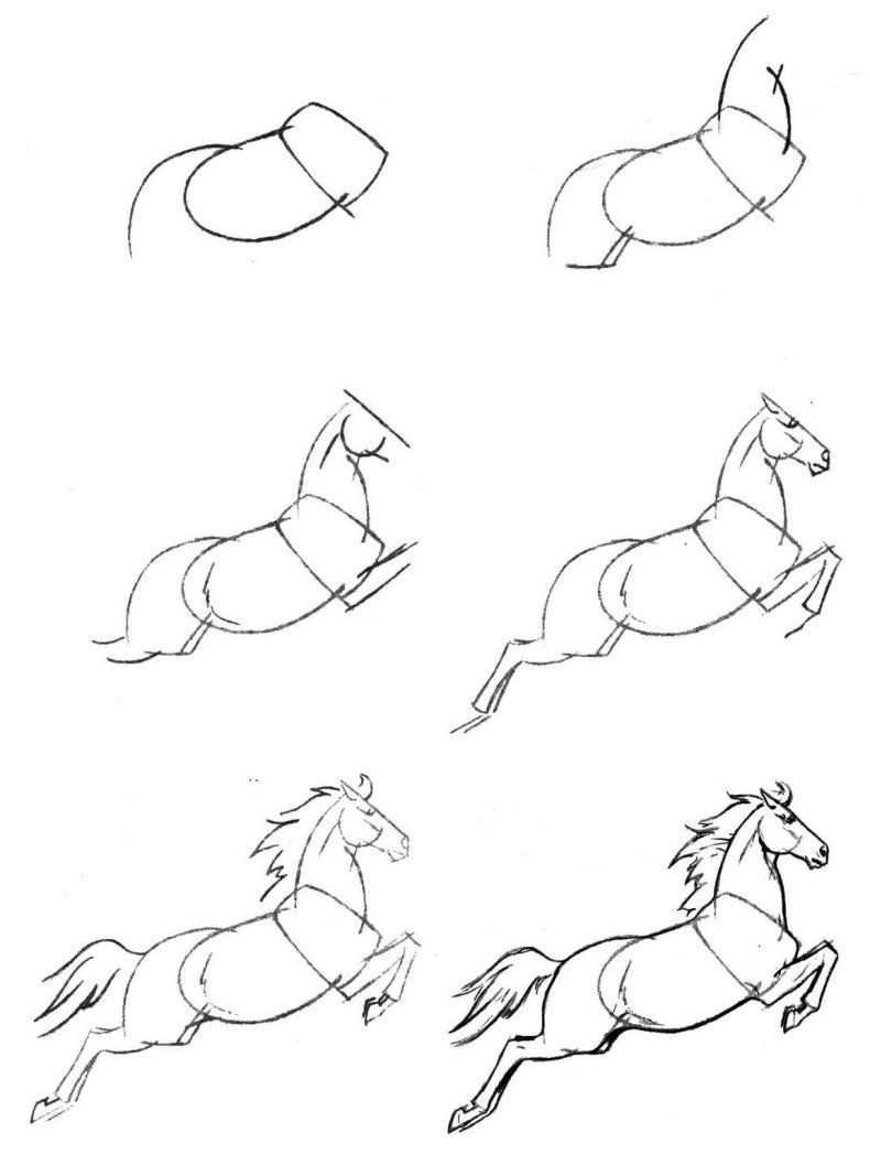 Рисунок лошадь для начинающих фото
