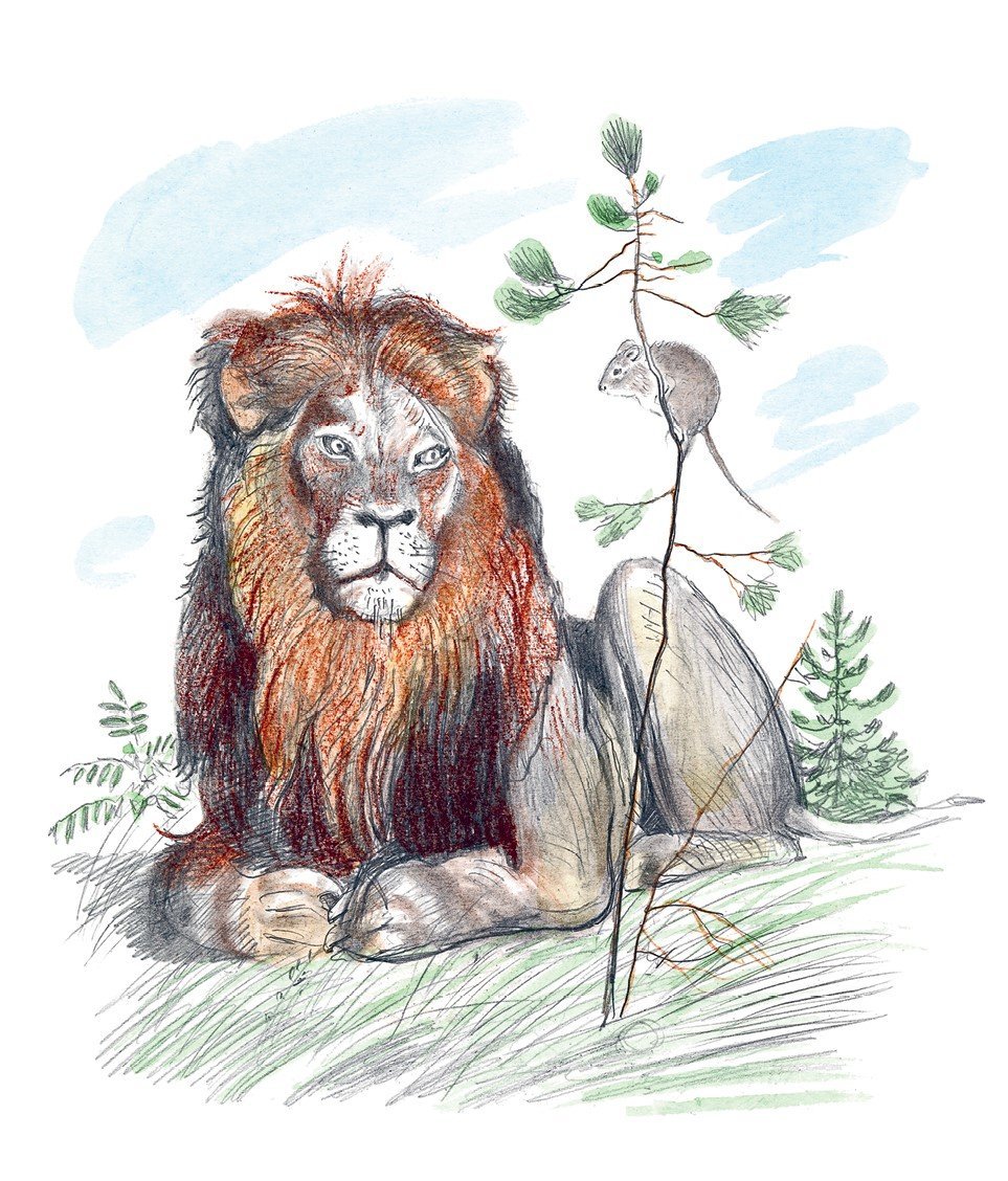 Рисунок льва толстого детский фото