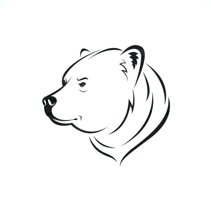 Рисунок морды медведя трафарет фото