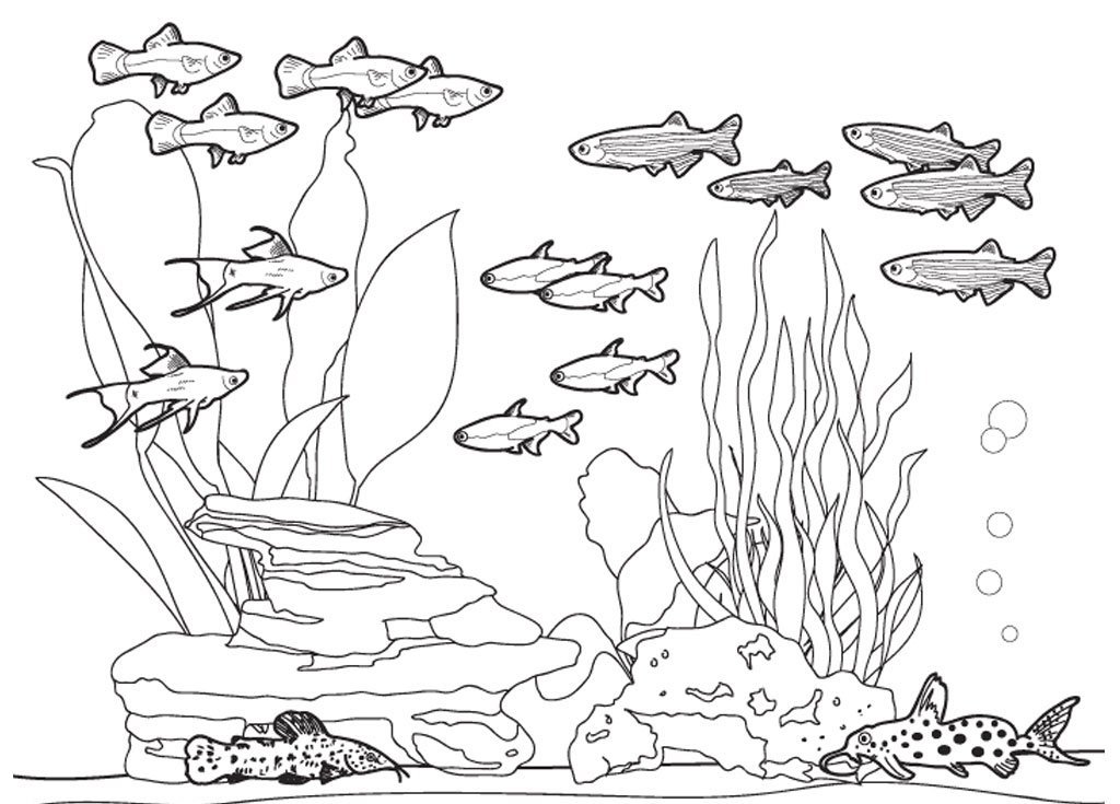 Рисунок морское дно для детей поэтапно фото