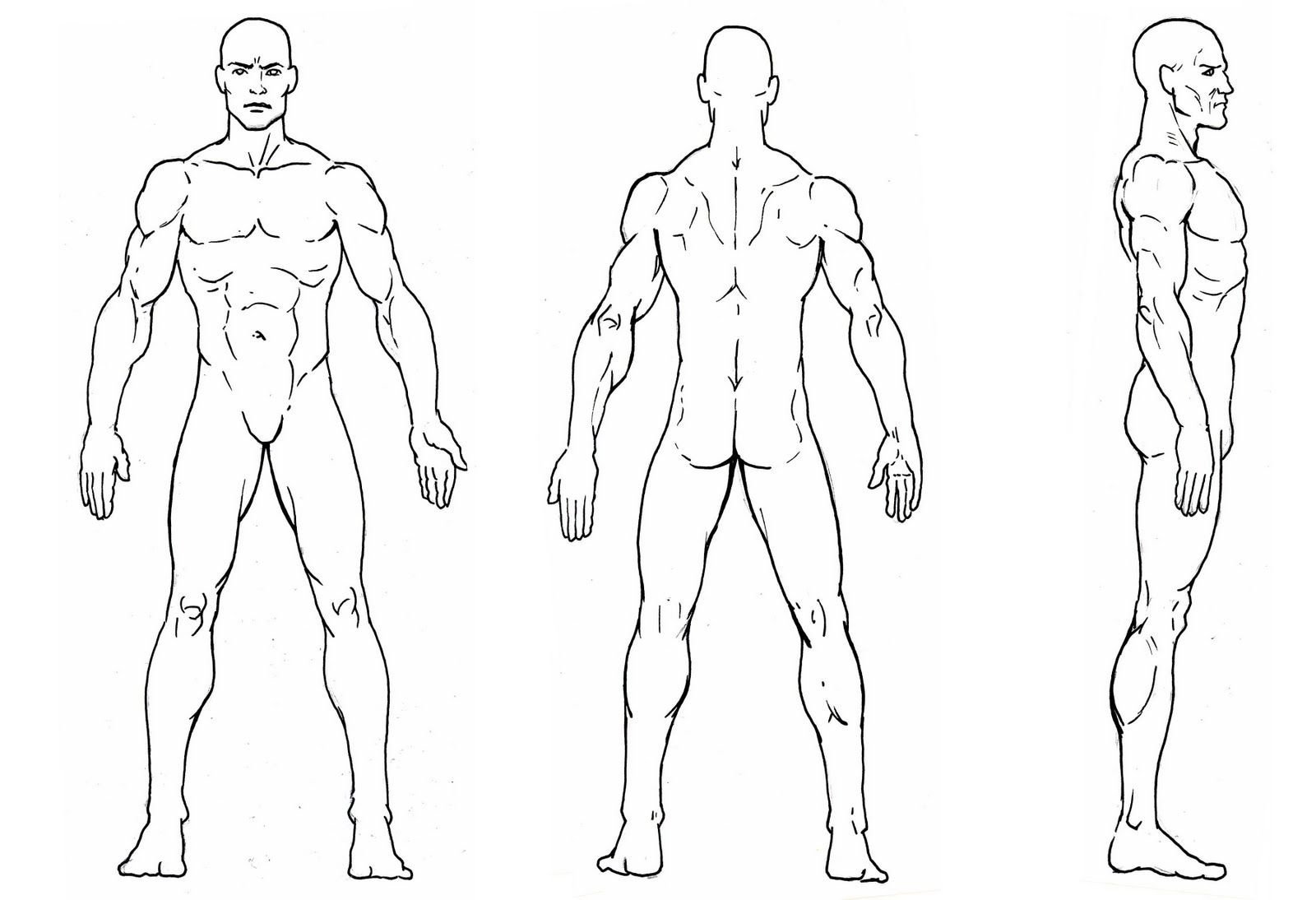 Рисунок мужского тела поэтапно фото